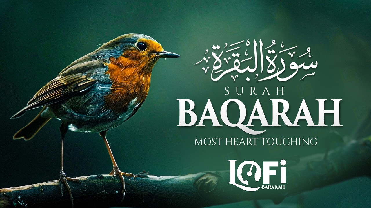 Surah Al-Baqarah Full سورة البقرة | Most Beautiful Recitation Will Move Your Heart | Lofi Quran