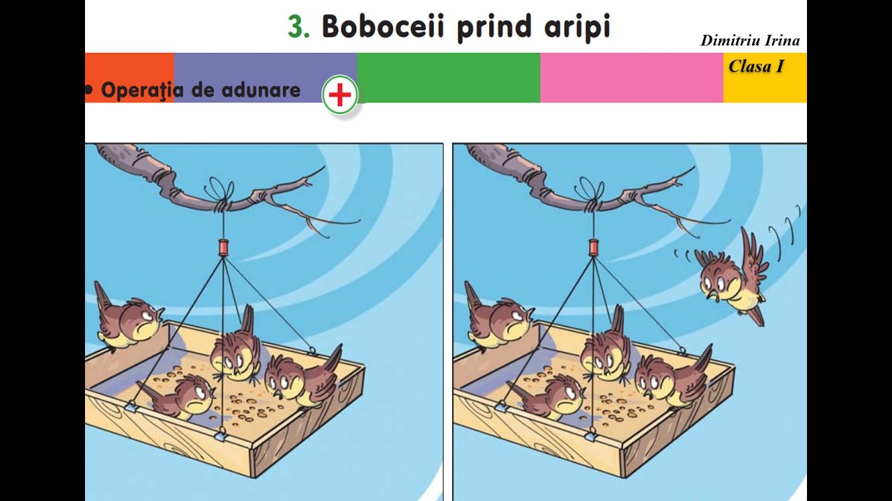 Operația de adunare. Clasa 1. Dimitriu Irina