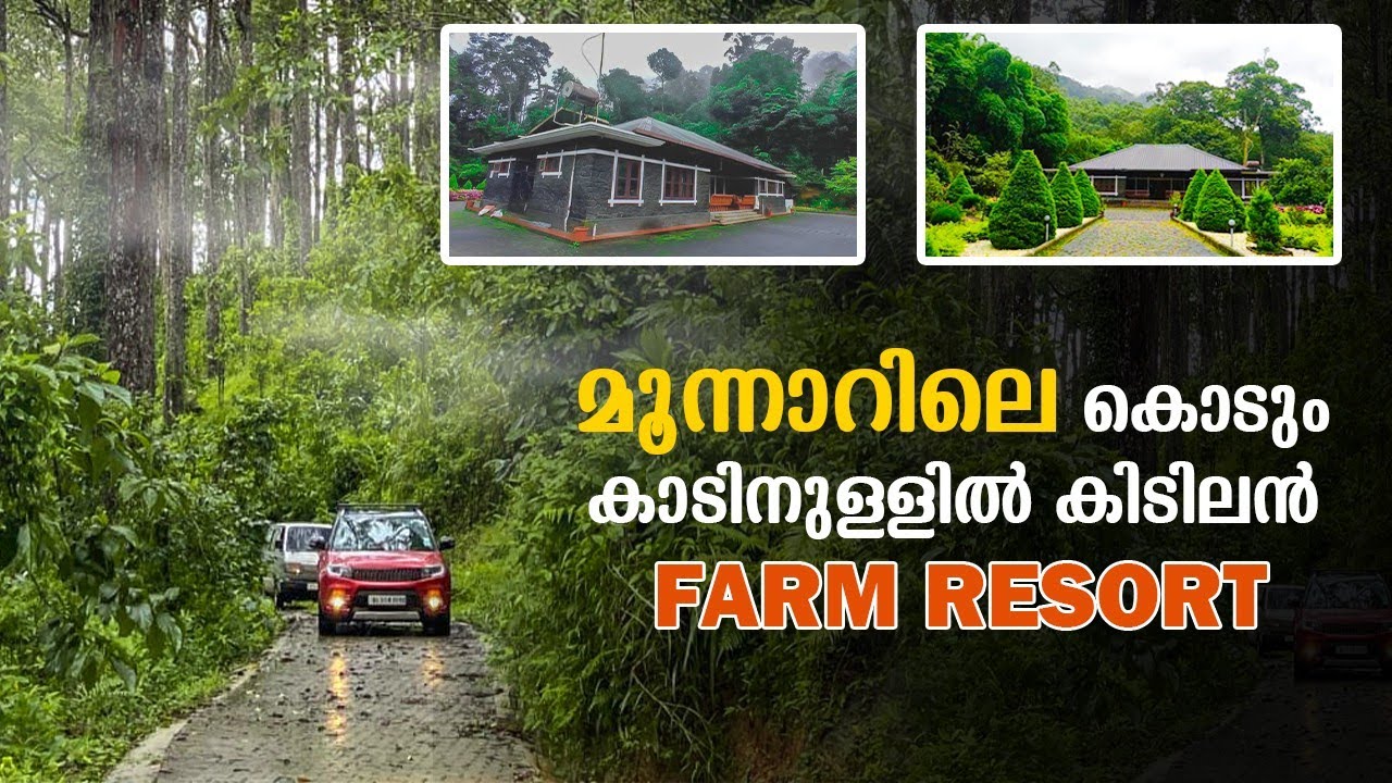 Budget Resort in Munnar | Dew Drops Farm Resort | Munnar | ചെറിയ ചിലവിൽ മുന്നാറിൽ താമസിക്കാം