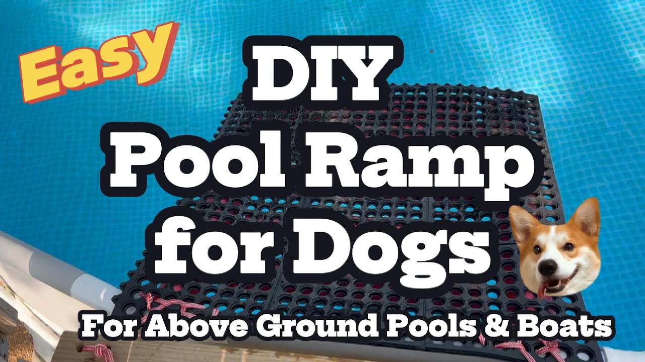 DIY Dog Pool Ramp | Easy Dog Mat Ramp for Safe Pool & Boat Exit   #diy  #dogtips #pool