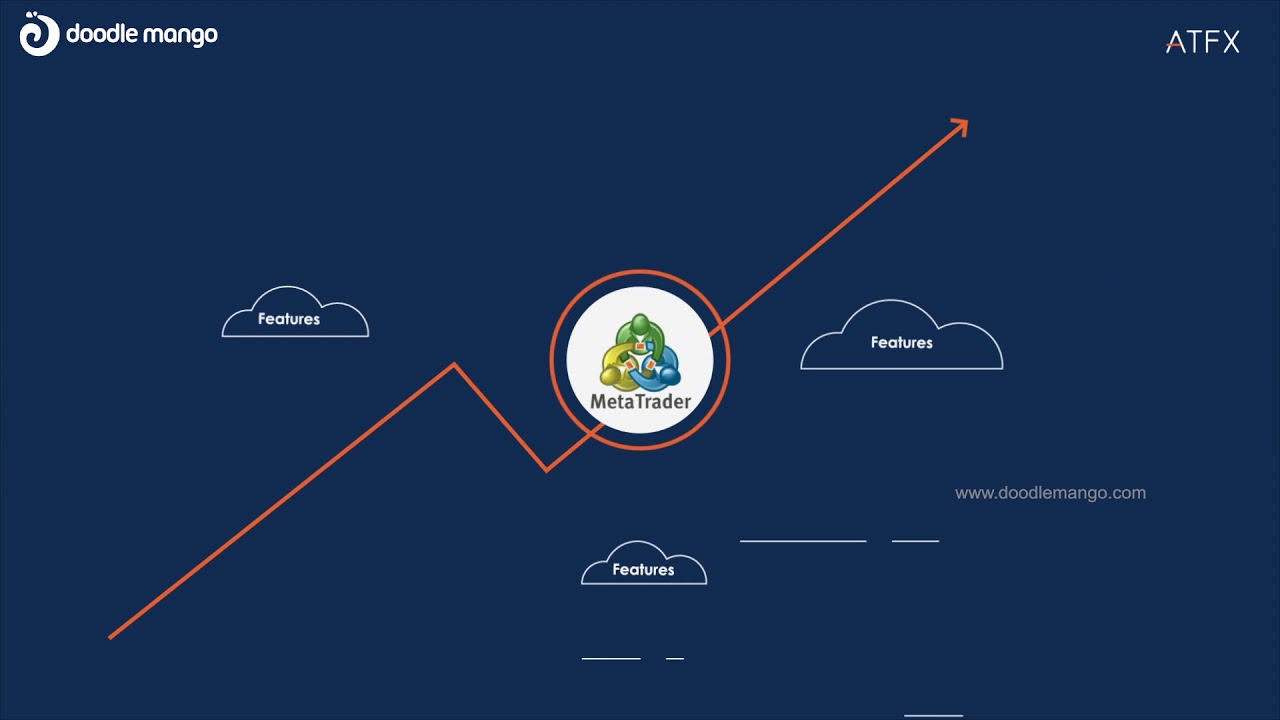 2D Infographic Animation | Meta Trade