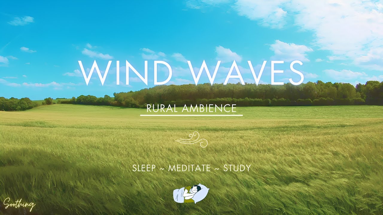 Wind Waves In Grass Field | NO ADS | Relaxing Wind Sounds For Sleeping
