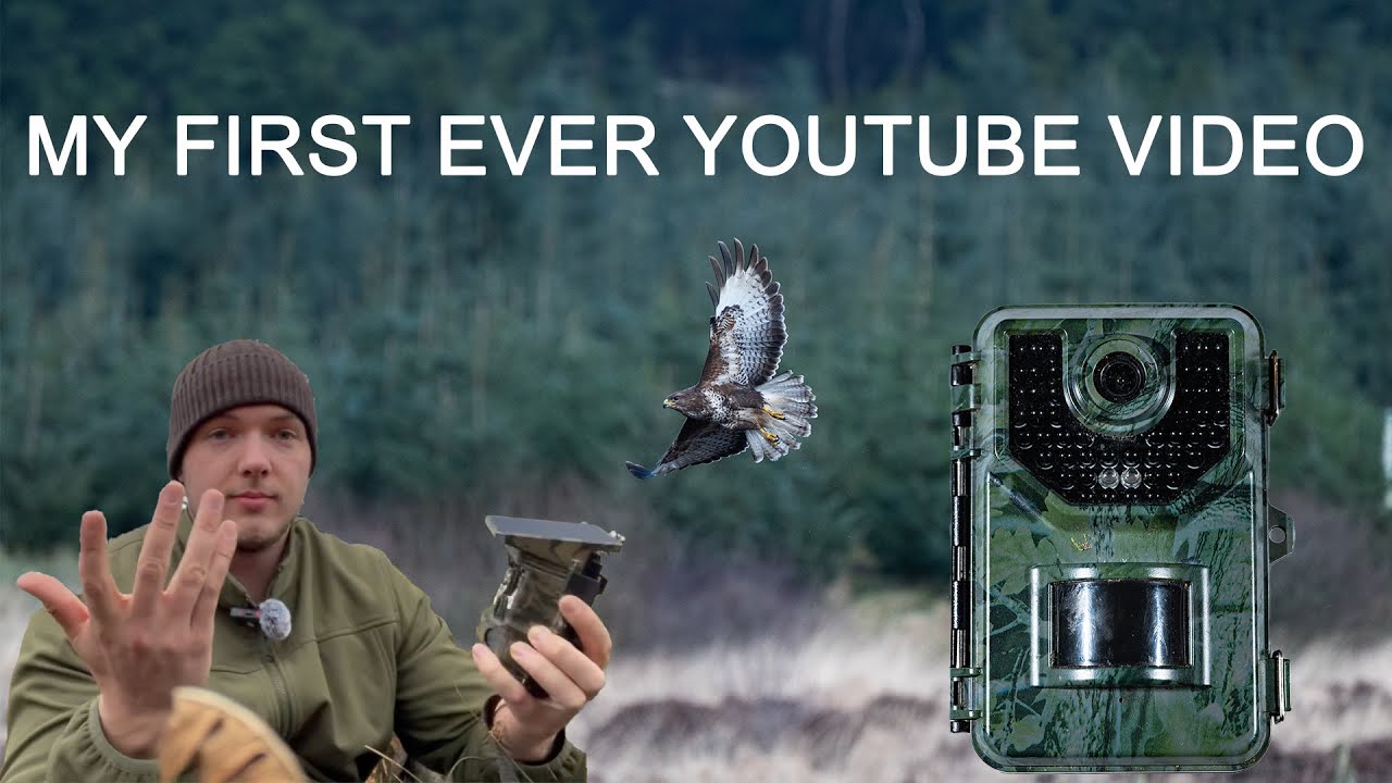 My First Vlog: Irish Wildlife & Trail Cameras