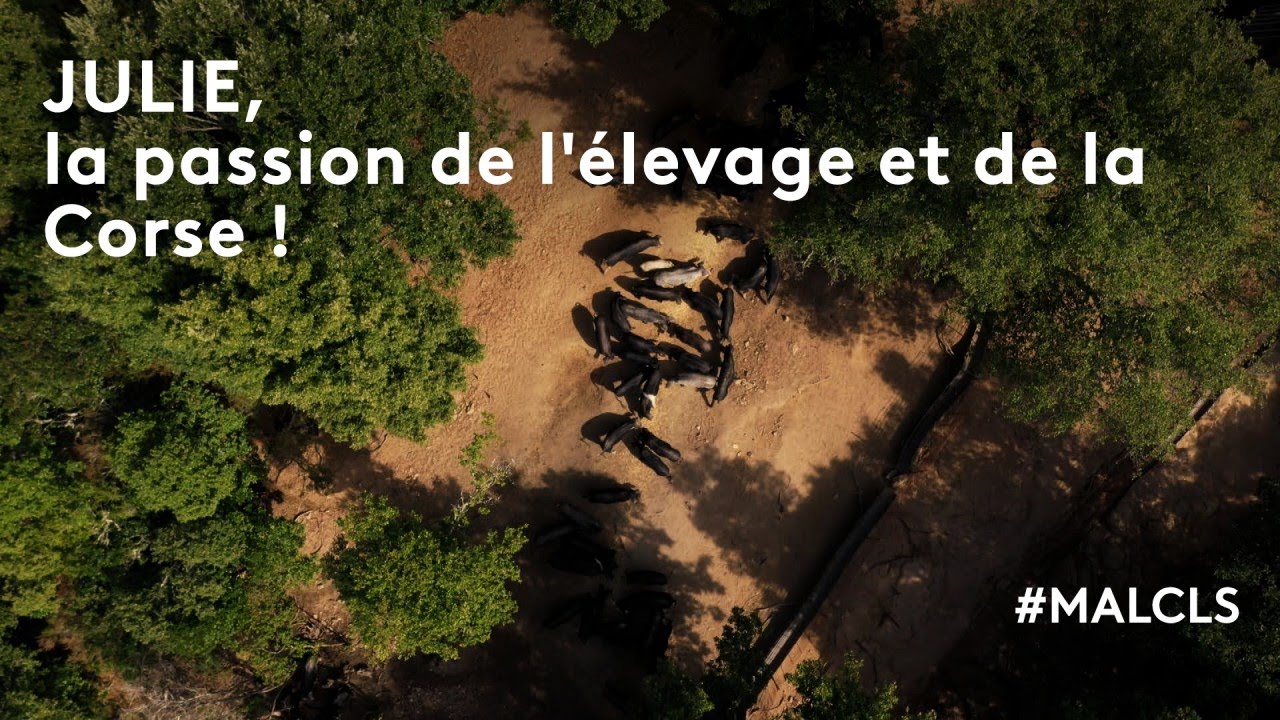 Julie, la passion de l'élevage et de la Corse !