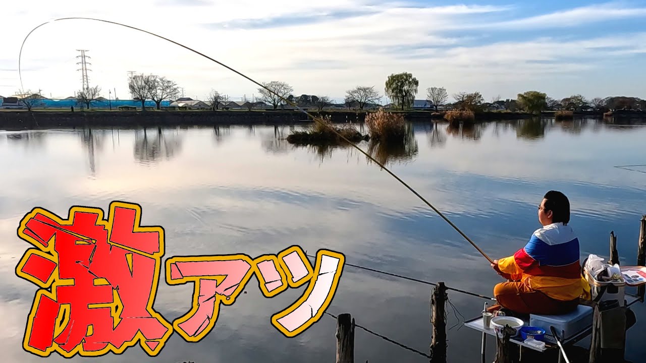 めちゃくちゃ気持ちのいいアタリを長尺竿で合わせる【埼玉県白岡市 柴山沼】