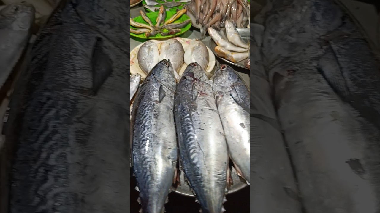 Fish Market in Bakkhali #india #seafood #bakkhali #food #foodie #kolkata #shorts #short #reels #yt