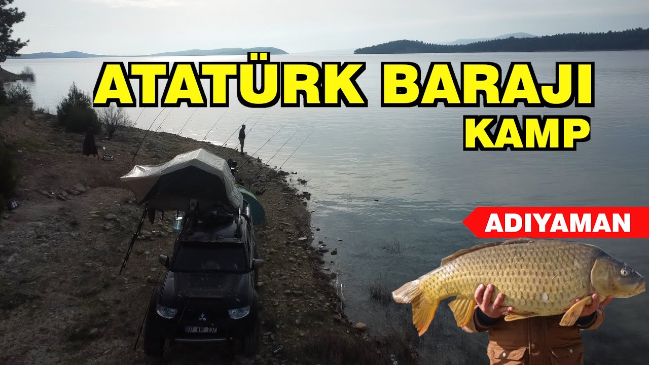 Очень крупный карп. Плотина Ататюрка. ЛАГЕРЬ