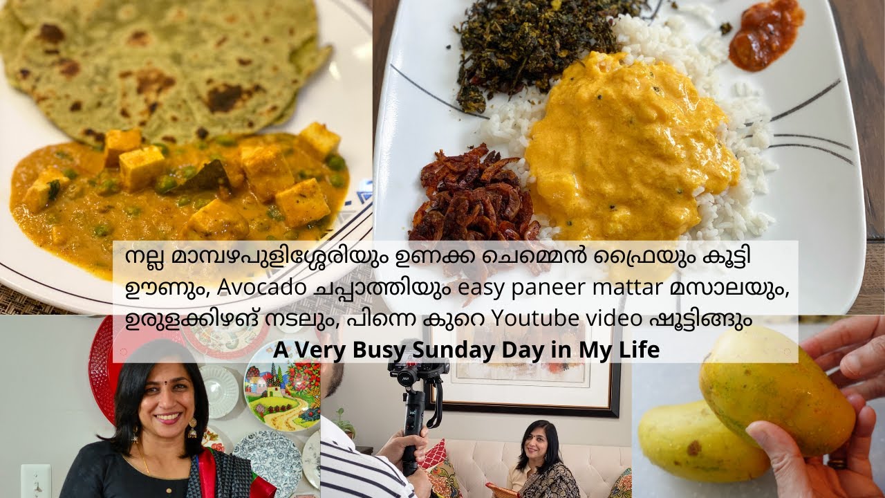 Day In My Life|നല്ല മാമ്പഴപുളിശ്ശേരിയും ഉണക്ക ചെമ്മെൻ ഫ്രൈ ഊണും|Avocado Chapati|Easy Matar Paneer