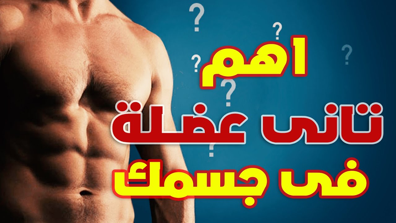 اسرع طريق لتضخيم عضلة السمانة وأهميتها _ افضل تمرين مثبت علمياً