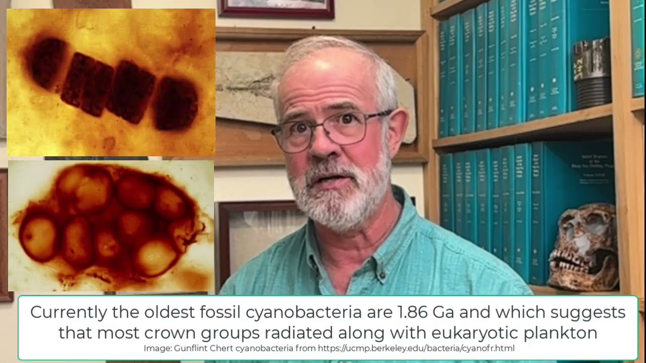 V53 Fecal Pellet Express