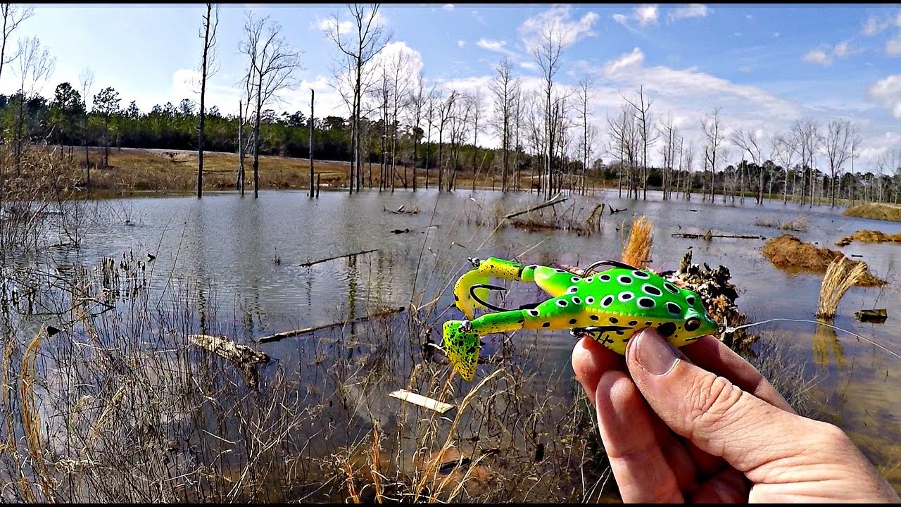 Frog Fishing Tournament!!