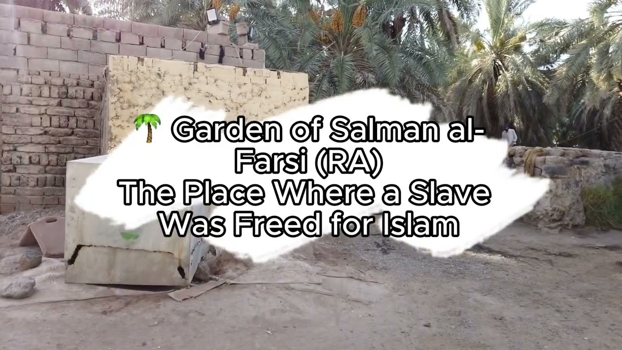 Madina Ziyarat Full Tour 2025 | Masjid-e-Quba, Qiblatain, Juma, Salman-Farsi Garden, Uhud & More