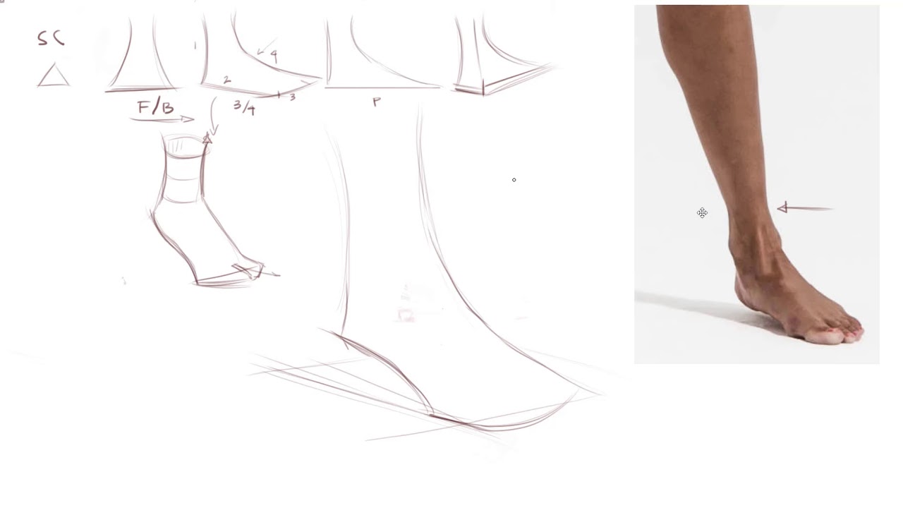 How to draw the foot