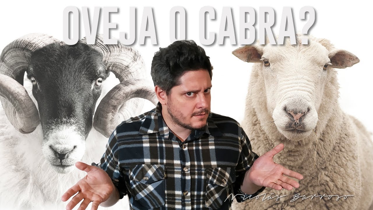 Sos una oveja  o sos una cabra? 🐑🐏Como sabes? -  Nicolas Barroso