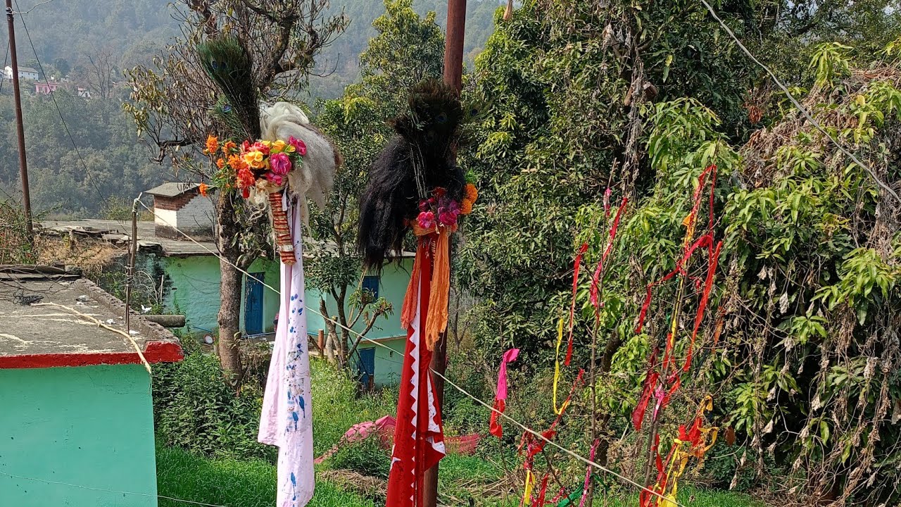 #holi #holi2026 