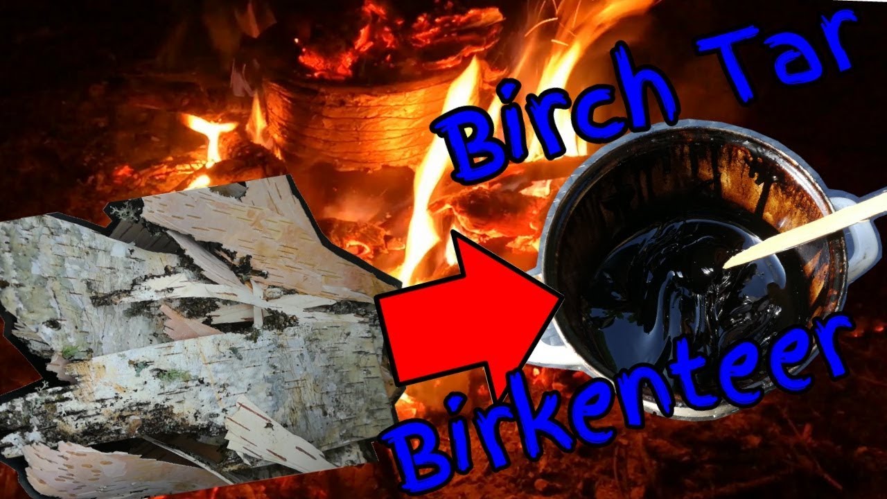 Birkenpech selber herstellen - Survivalkleber