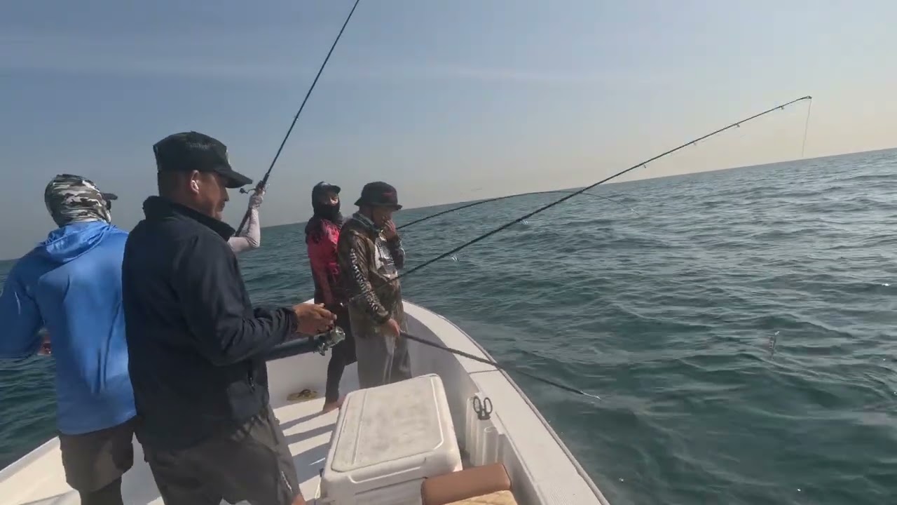 Dec 9 King mackerel hunting #fishing #fishingmethods #fishingtechniques #shimano #angler #casting 