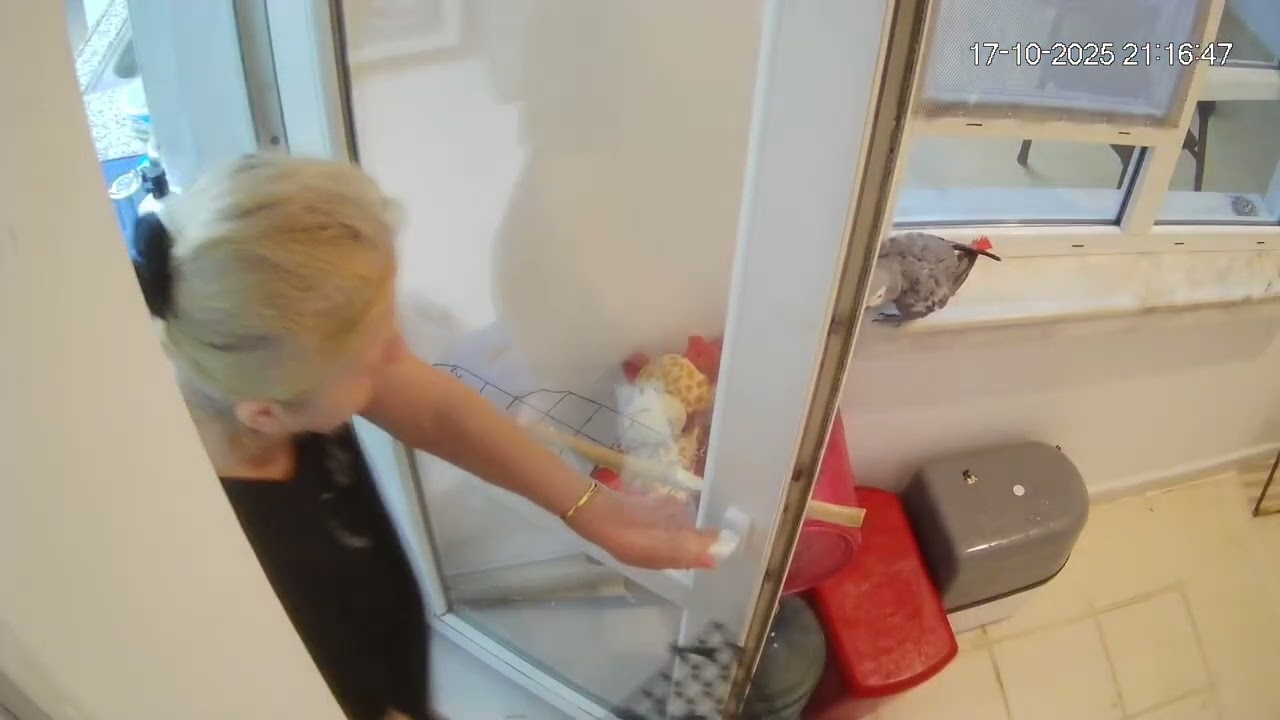 ÇAKIL KONUŞMASI BİTİNCE İÇERİ GİRDİ