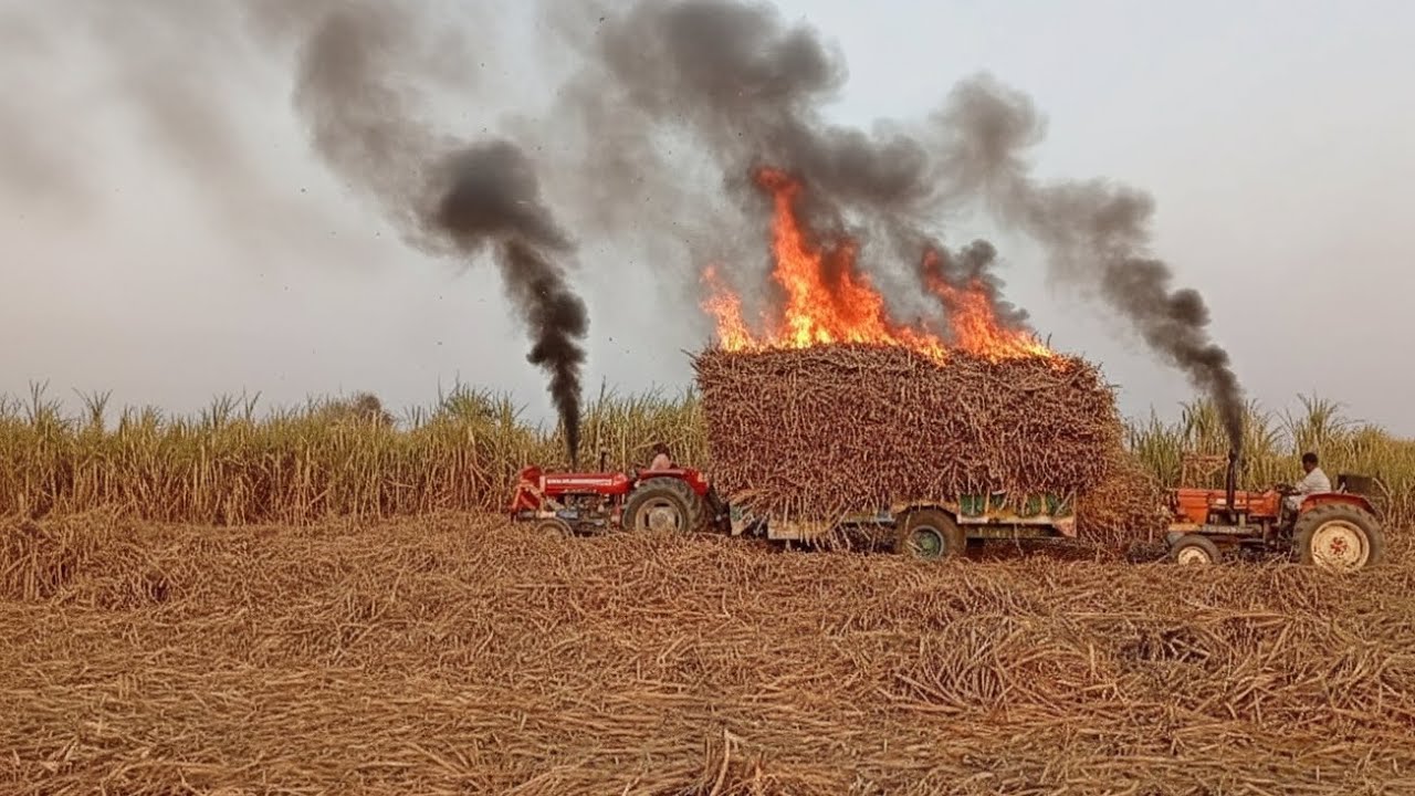 One smoking on full sagur can loaded trolley and fire trolley and high smoke on tractor salusir 🚭😱🚭😱