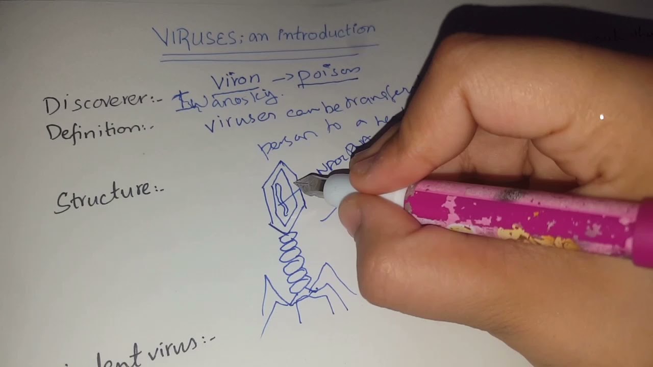 Introduction to viruses/Lectures with Hassa