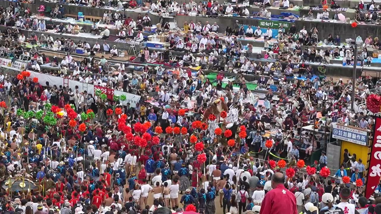 20251015　灘のけんか祭り　妻鹿だんじり　国道250号