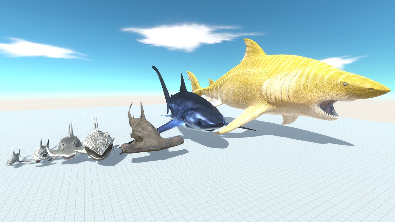 Shark Evolution Stages vs Modern and Prehistoric Mammals | Survival Simulation