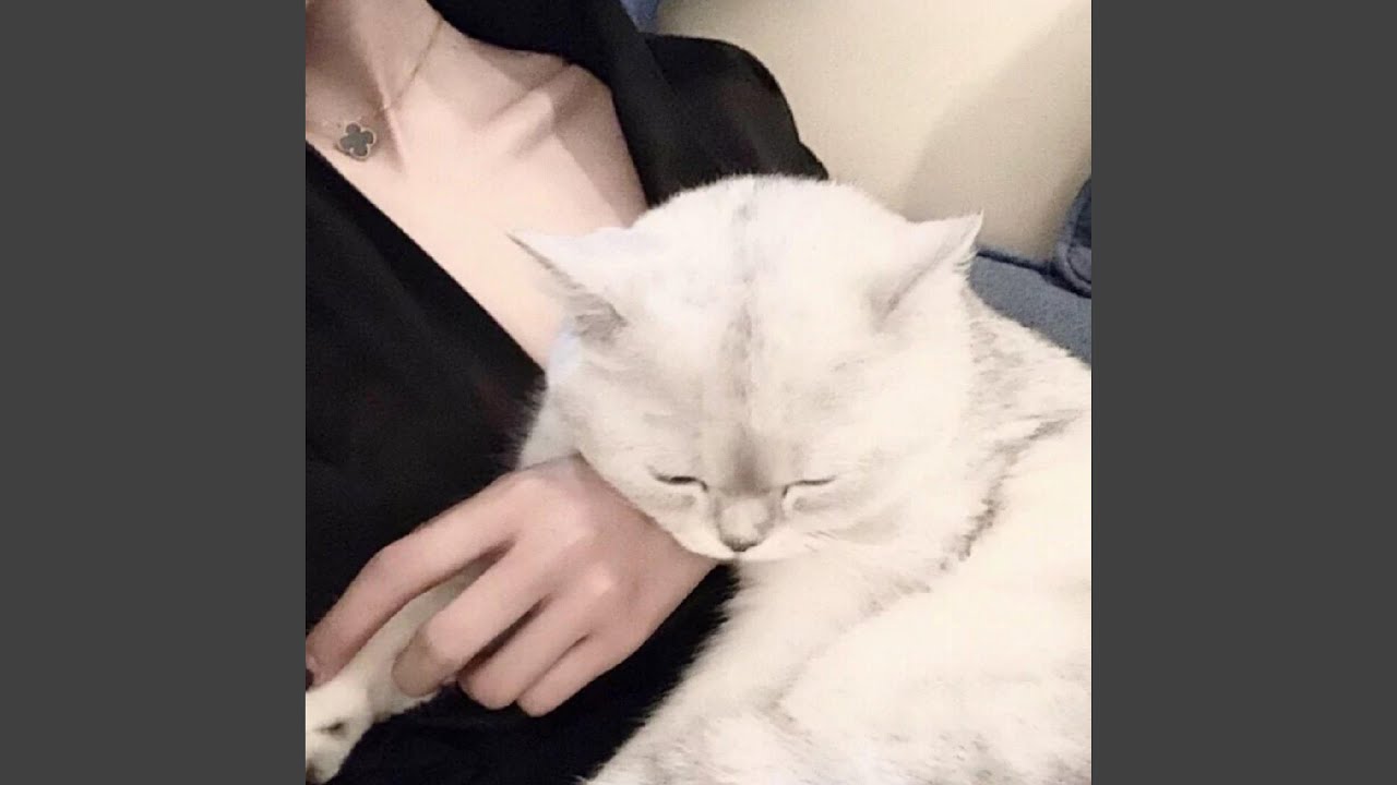 做梦 旋律