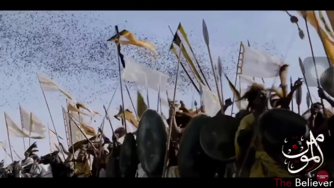 Daily reminder - ababil bird tamil