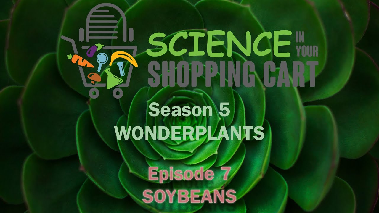 Science in your Shopping Cart | Season 5: WonderPlants || Episode 7: Soybeans