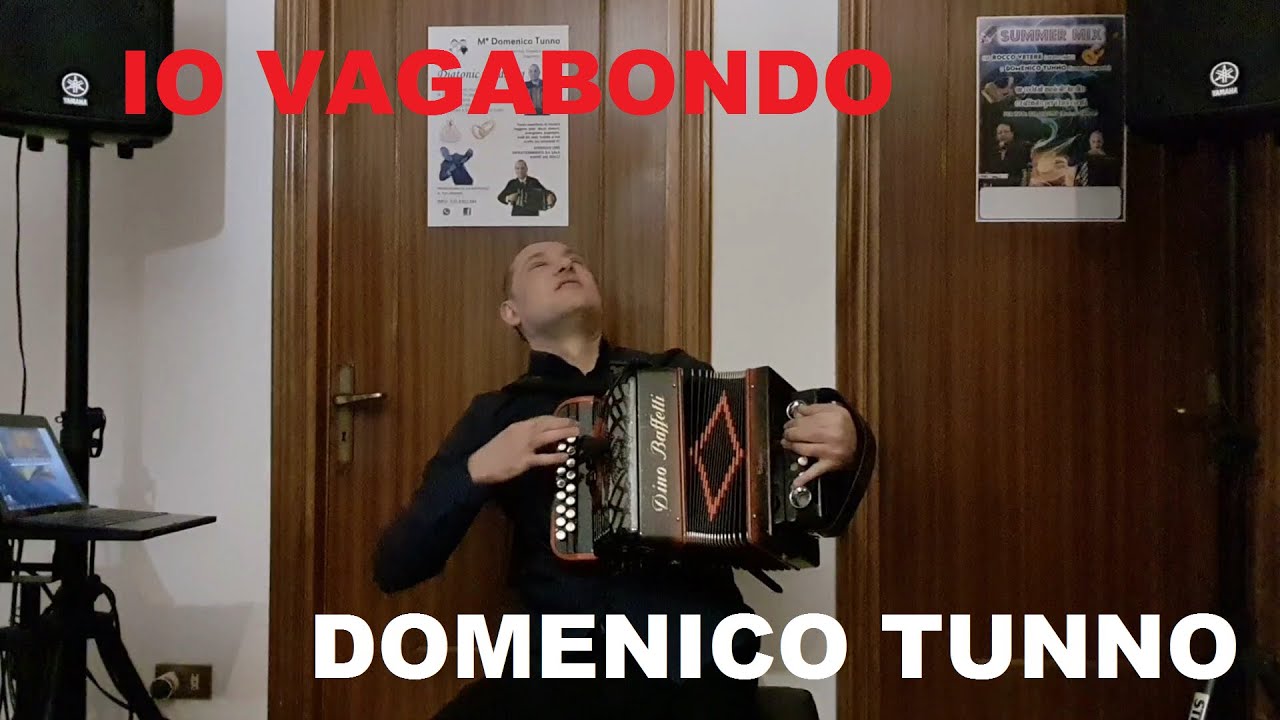 Nomadi, IO VAGABONDO - Domenico TUNNO (Diatonic Cover)