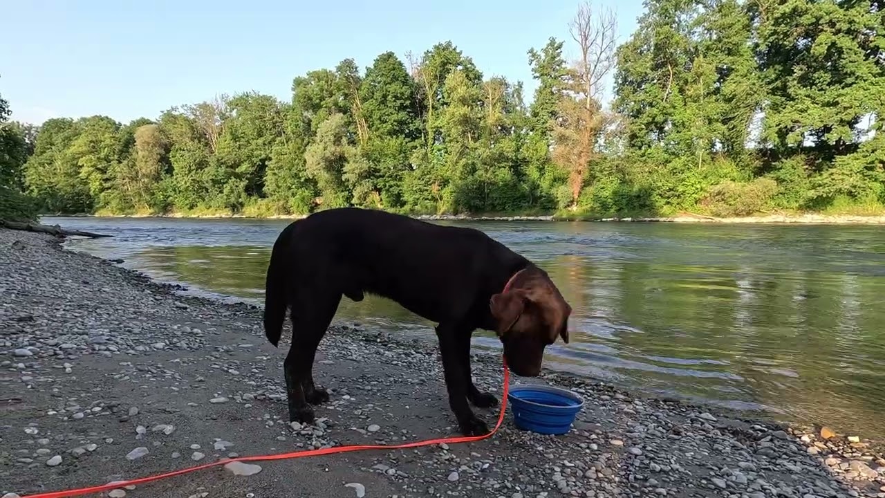 Along Reuss River - Camping in Reuss Valley