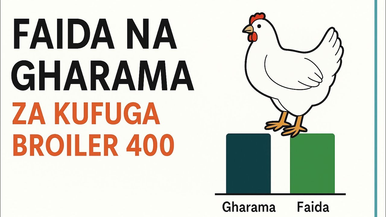 FAIDA NA GHARAMA ZA KUFUGA BROILER 400 (Siku 28)