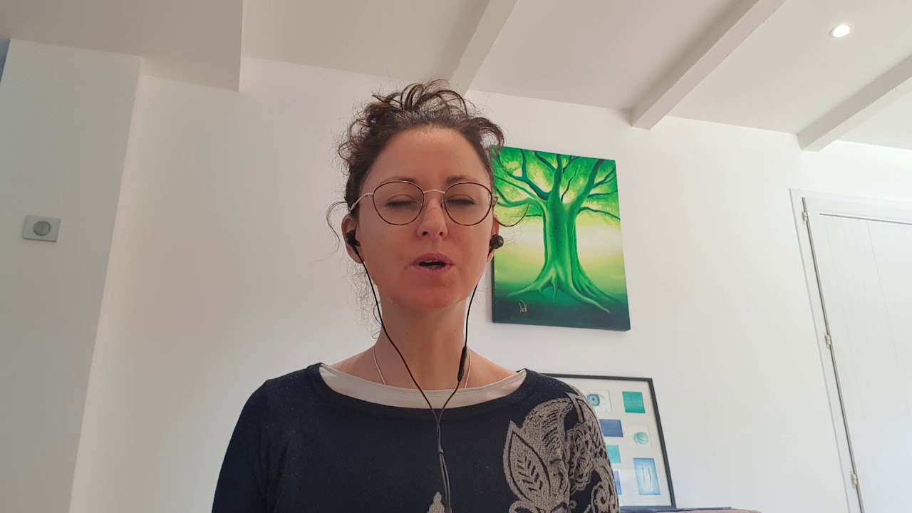 2. M&eacute;t&eacute;o int&eacute;rieure, les &eacute;motions en pleine conscience (mindfulness)