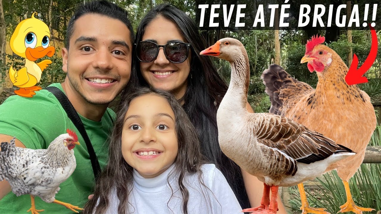 Parque da água branca Muitas aves e melhor sorvete do mundo | Aves Recriar