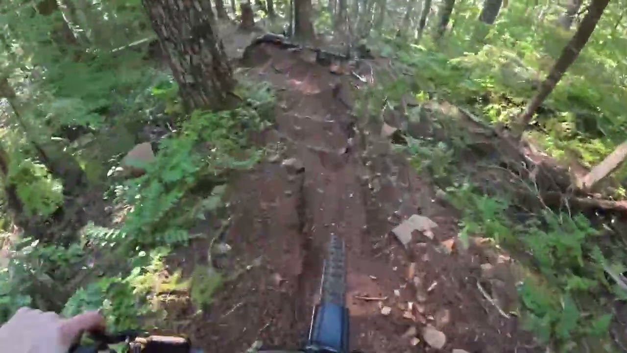 Fear and Loaming mtb Tillamook, OR