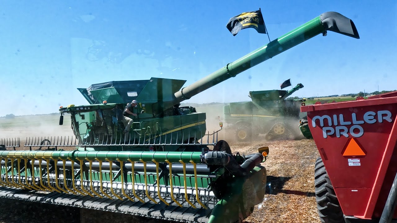 Это поле никогда не разочаровывает!!