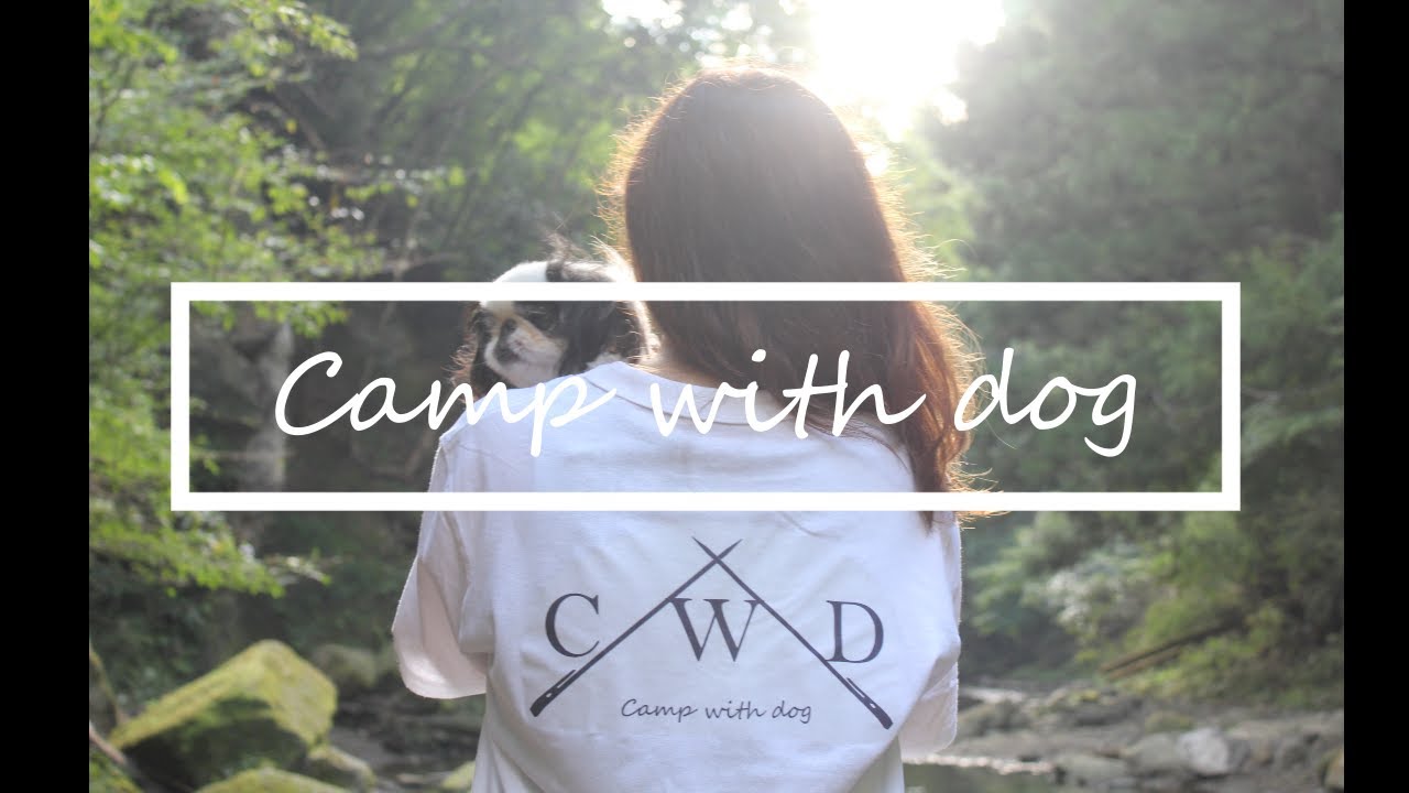 Camp with dog