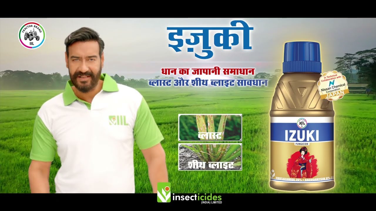 ब्लास्ट और शीथ ब्लाइट सावधान, धान का जापानी समाधान - #Izuki
