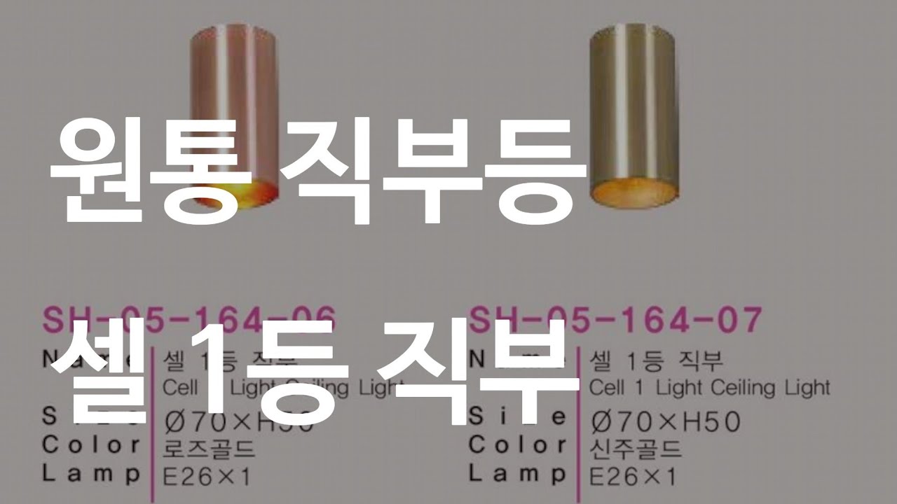 셀 1등 직부(원통 직부) 주방용 예쁜 직부등 스마트전구 제어해보기_SH-05-164