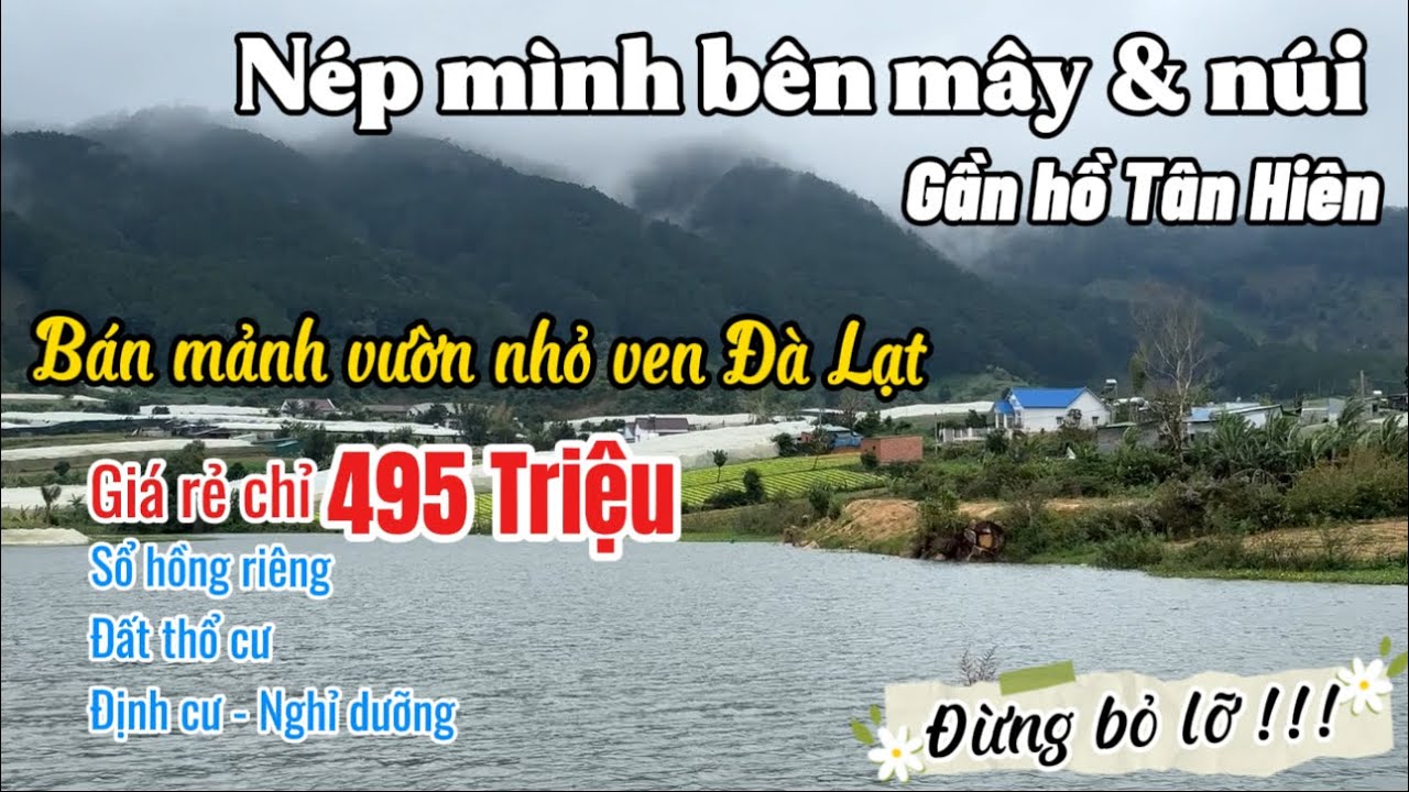 ✅ BÁN RẺ 495 TRIỆU lô đất thổ cư ven Đà Lạt view đẹp không nên bỏ lỡ