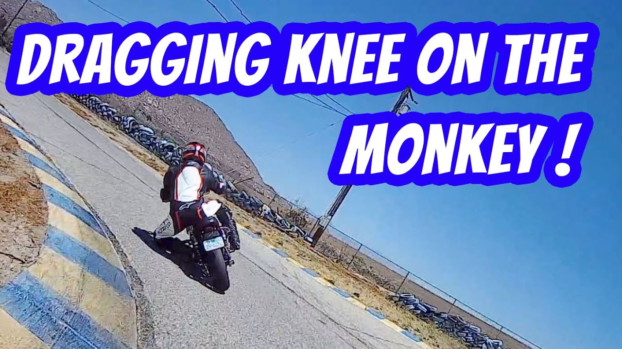 First time dragging knee on my 2019 Honda Monkey!