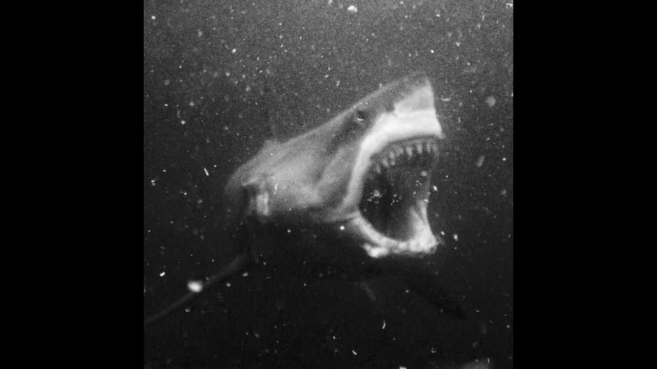 Lo-Fi Rap Type Beat - SHARK 4