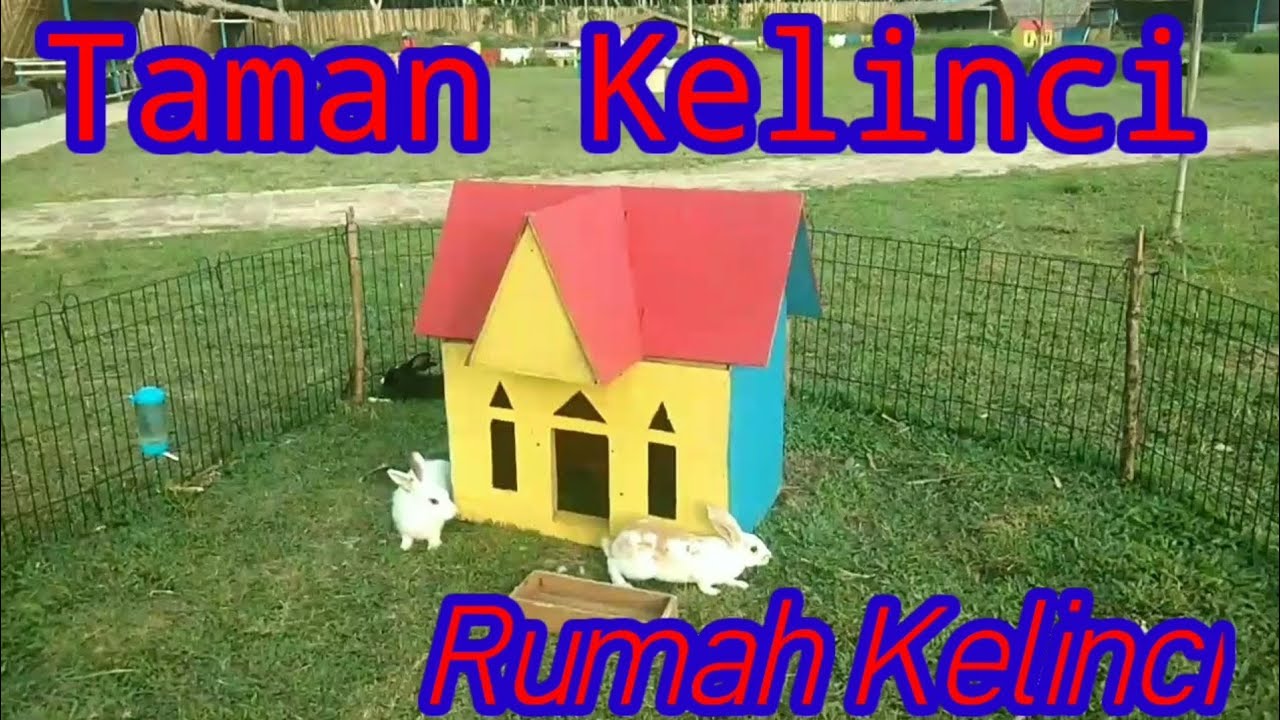TAMAN KELINCI KAMPOENG YASAMAN CINDO || PART 2. ‎@paiditpoenya3146