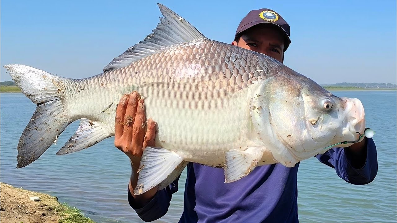 Biggest Katla Fish Catching On Feeder Method | Fish Hunting | Unique Fishing | Indian Fishing Videos
