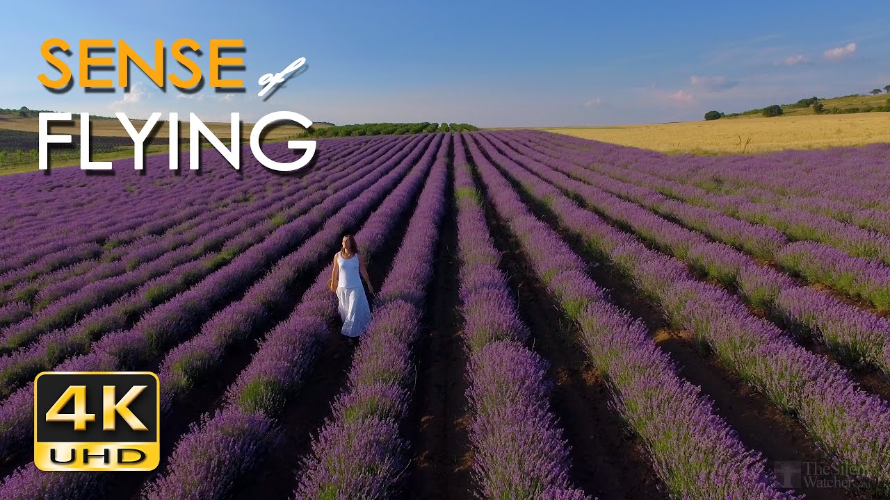 4K Sense of Flying - 1 Hour Relaxing Flight Scenes & Soothing Guitar Music - UHD Aerial Drone Video