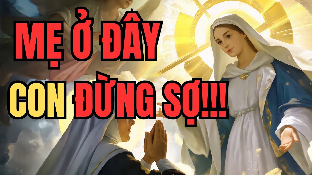 Mẹ Maria sẽ không bao giờ bỏ rơi những ai làm điều này