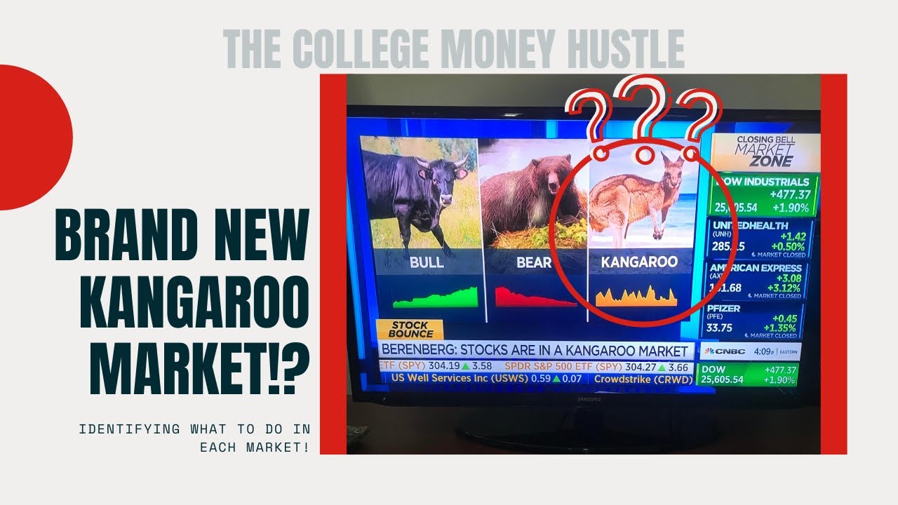 Kangaroo Market 2020? - The Battle of the Different Stock Market Cycles