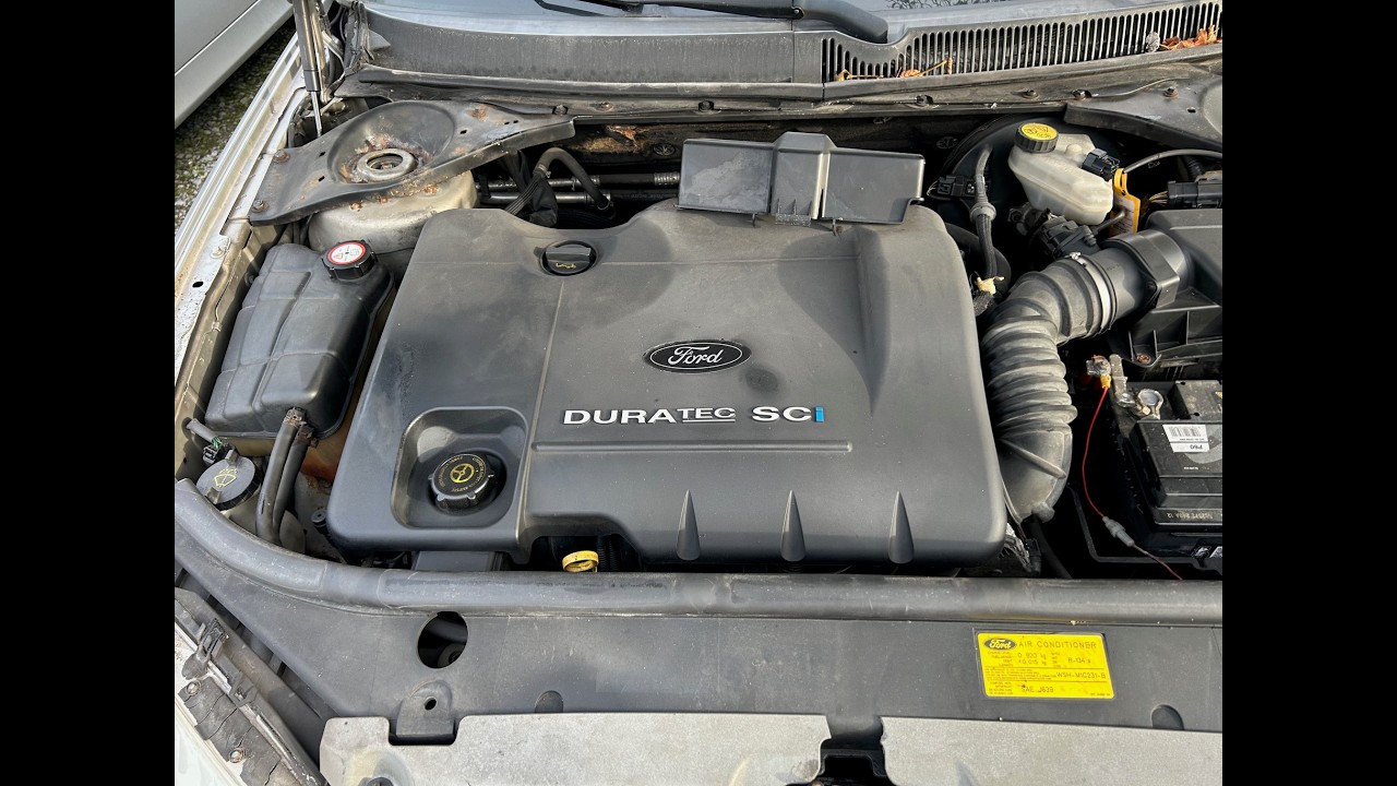 S 8187