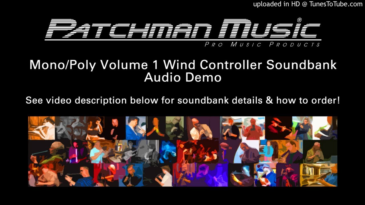 Patchman Music Mono/Poly Volume 1 Soundbank Demo