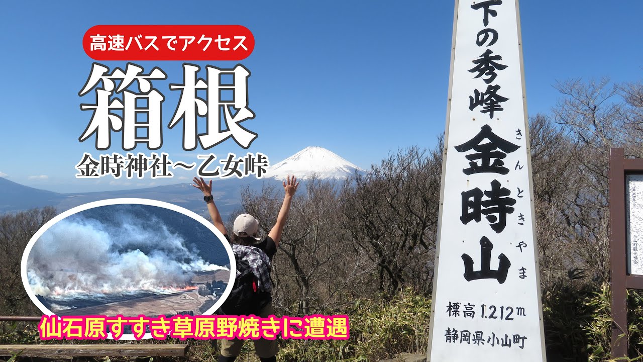 【箱根】金時山　バスでアクセスする日帰り登山　#登山初心者　#アラフィフ登山　#ソロ登山